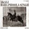 Akali Baba Phoola Singh - Veer Sandhu Mp3