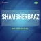 Jal Bharan Aai Brijnari - Shamsherbaaz MP3 Song