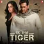 Banjaara - Ek Tha Tiger