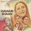 Aai Bahar Hai Hum Bekarar Hai - Hamari Shaan