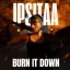 Burn it Down
