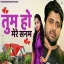 Tum Ho Mere Sanam