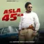 Asla 45 Ka